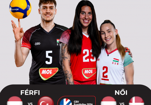 Röplabda Eb-selejtező – Continental Aréna – Magyarország  – Dánia (nők)